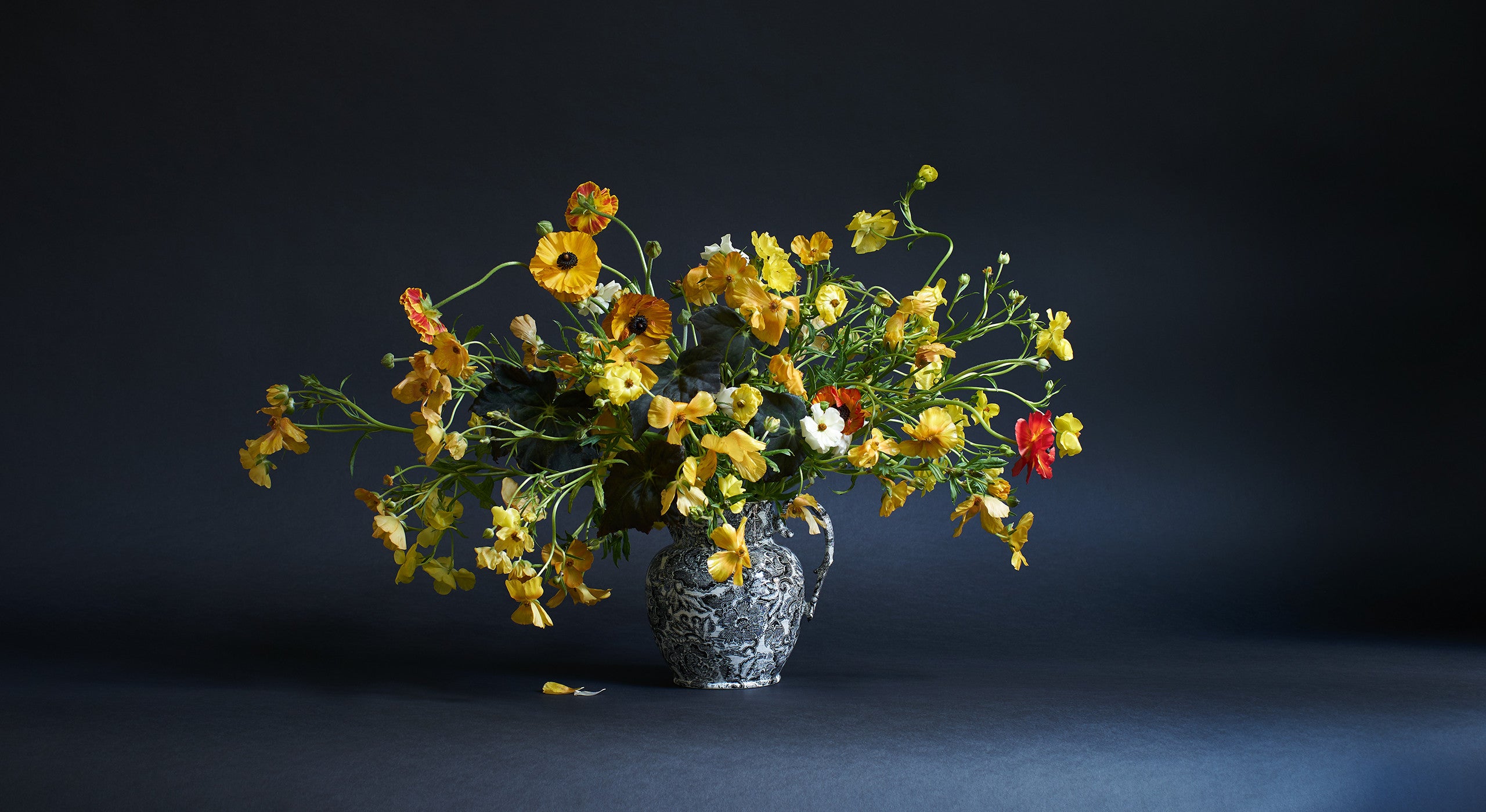 “This arrangement uses materials that might feel unusual, but they’re actually very accessible. The butterfly ranunculus have tons of great reddish, brown variations. I’ve paired them with the dark leaves of a velvety begonia—a readily available houseplant. The goal here is to use materials that move away from the traditional and commercial. Visually, it’s all about an exuberant cloud of movement around the vase.” 